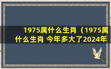 1975属什么生肖（1975属什么生肖 今年多大了2024年）